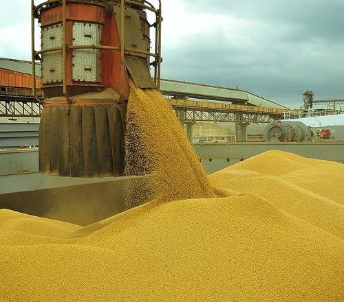 Por que 2019 será um ano crucial para o livre-comércio no mundo
