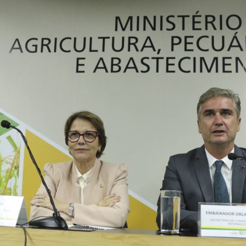 Brasil faz viagem ao Oriente para promover exportações