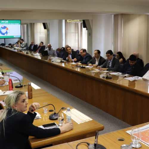 Facesp apresenta Plano de Fortalecimento da rede de Associações Comerciais