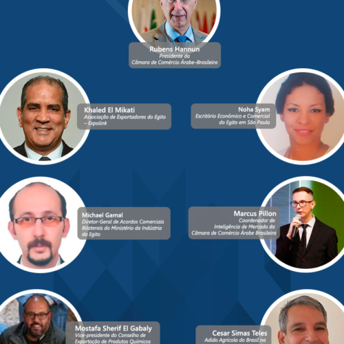 Câmara de Comércio Árabe-Brasileira realiza webinar sobre negócios entre o Brasil e o Egito