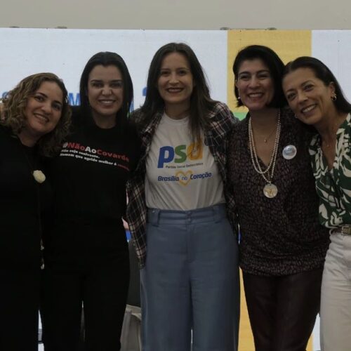CMEC-DF participa de debate sobre Enfrentamento da Violência contra a Mulher