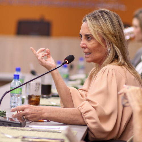 Crédito feminino é apontado como vetor de crescimento econômico