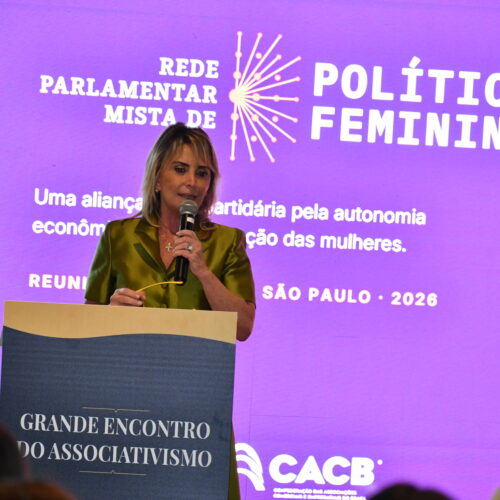 Rede Parlamentar Mista de Políticas Femininas é lançada com participação de presidentes de Conselhos da Mulheres Empreendedoras